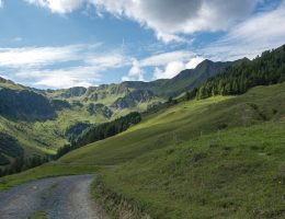 la tarentaise