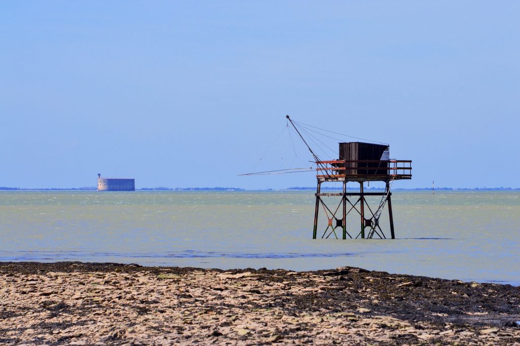 Paysage de Charente avec le Fort Boyard