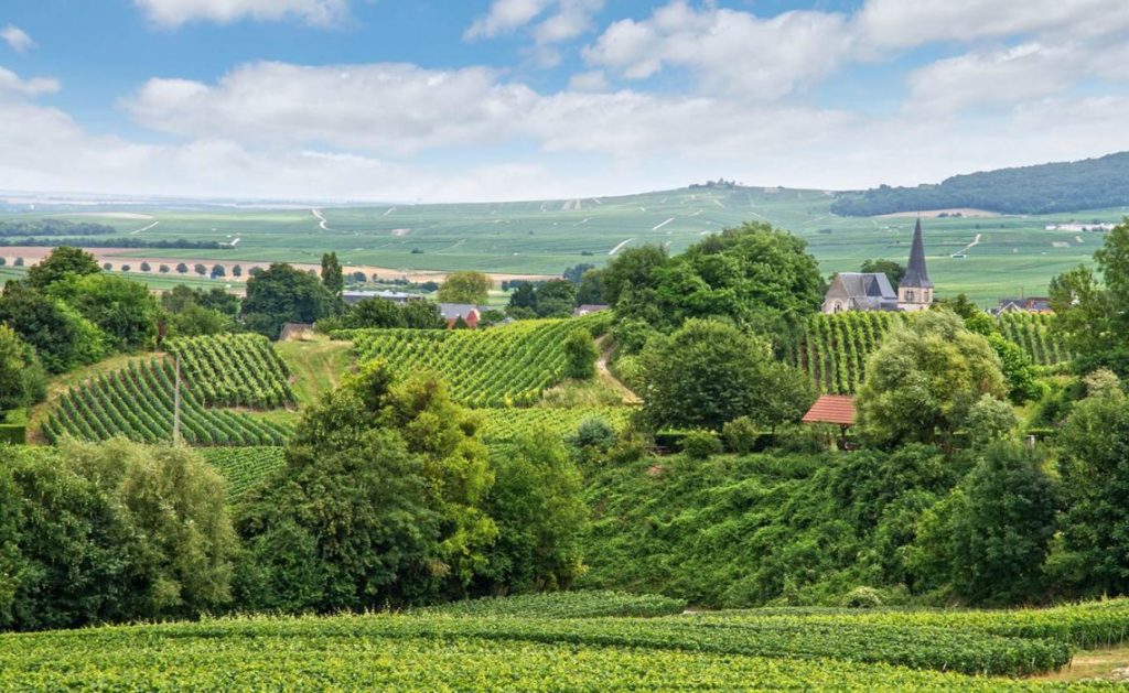 Montagne de Reims