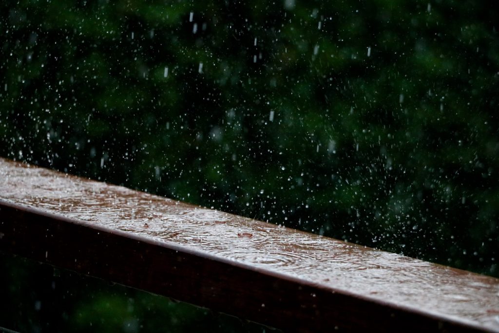 pluie sur un bout de bois