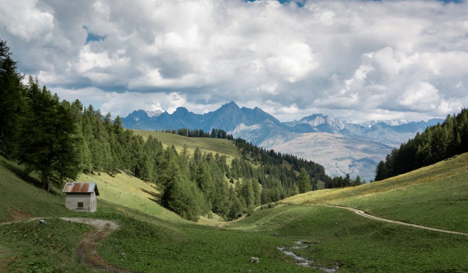 Montagne été