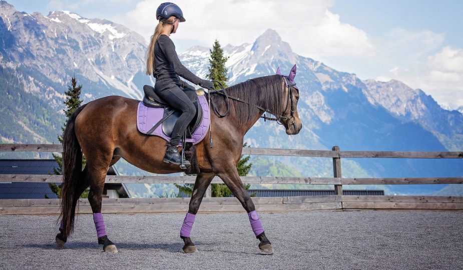 Disciplines équestres : laquelle est faite pour vous ?